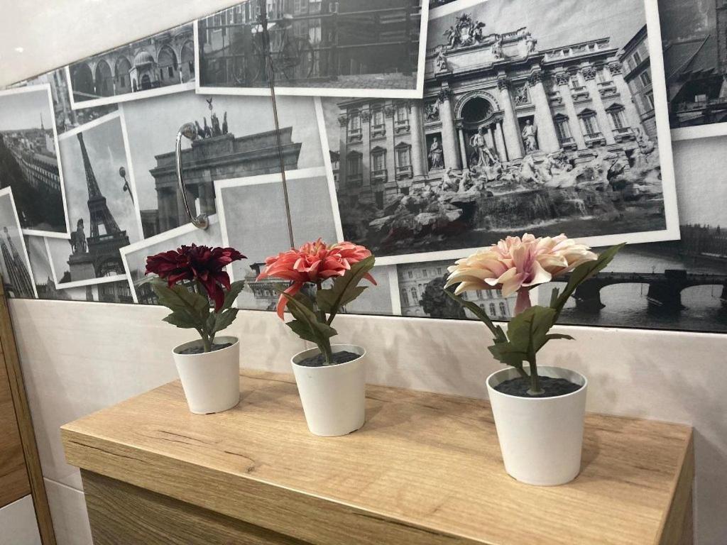 Apartament Tuz Za Rogiem Zamku مالبورك المظهر الخارجي الصورة